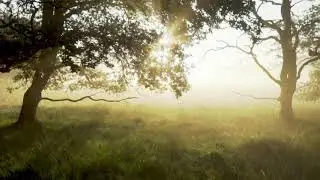 Jason Saulnier - Journey Into the Unknown (Music Video)