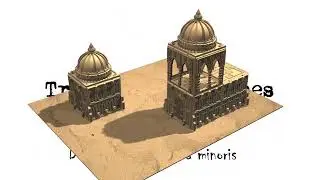 Domed Gothic Basilica Minoris