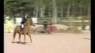 Un jeune Cheval de club en pleine forme