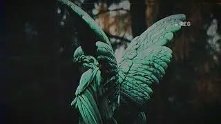 vøiceless - Cherub (w/ Kay.xo)