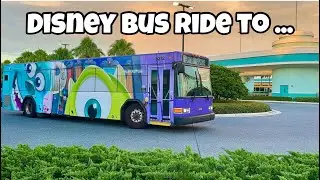 Riding a Disney Bus from Hollywood Studios 