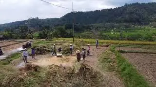 Bali countryside