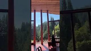 Часть 1 из 4. Мастерская Redwoods &mdash; Знакомьтесь, Чарльз, живущий автономно более 50 лет #художник...