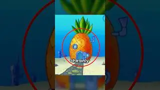 Why spongebob's house is a pineapple? 🍍 🗿