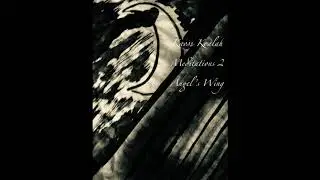 Kaoss Koalah - Angel's Wing - meditation 2