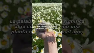 El significado de Perenne y su uso 🌿 #Perenne