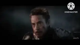 We could have had it all. R.I.P Tony Stark
