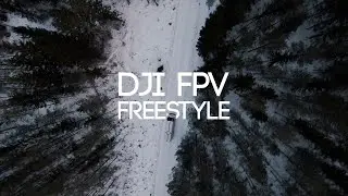DJI FPV FREESTYLE | WINTER FOREST 4K 50FPS RAW FLIGHT