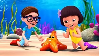 Sea Creature Song 🌊🐟 | Ben and Lolly Explore Ocean Animals | Preschool Learning Fun