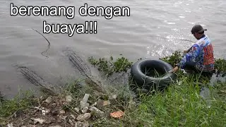 Swimming with crocodiles and we searched for shells