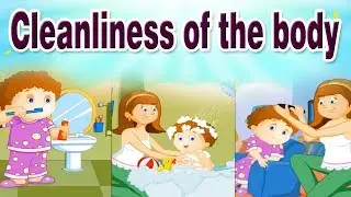 Cleanliness of the body | Educational Videos For Kids