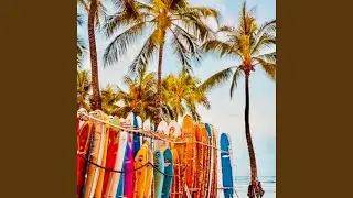 Brisk Beach Groove