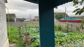 Загарино 2023: Доброе утро !!!/22.07.23 06:00