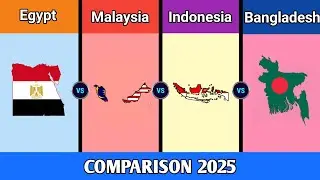 Egypt vs Malaysia vs Indonesia vs Bangladesh | Country Comparison 2025