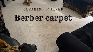 Cleaning stained Berber carpet