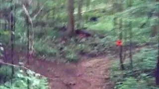 MWXC Fallen Rock Race 2010 (part 1)