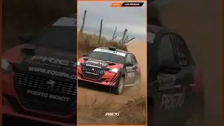 Resumen Rally Mobil Los Angeles