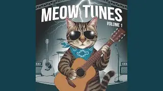 Meow Meow Power