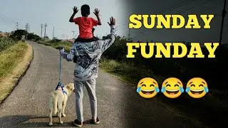 Labrador puppy walking Fun Video | Sunday Funday | @upendragani