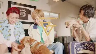 Boom Trigger - 'The Party Must Go On ' M/V TEASER Ⅱ