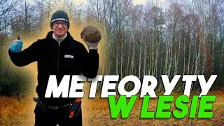 Meteoryty w lesie