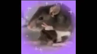 You're finally awake