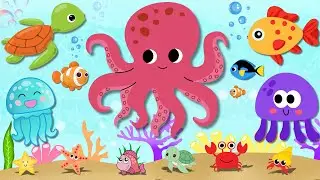Baby Sensory: Under the Sea Fun Adventure - Brain Development for Babies and Toddlers