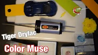 The Tiger Drylac Color Muse