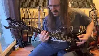 Slayer - Die by the Sword - Guitar cover (NKP fractal audio Presets)