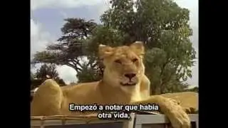 Born Free (1966). Trailer. Subtitulado al español..avi