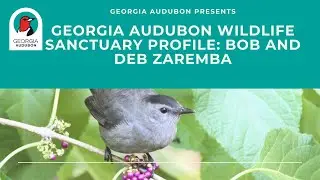 30+ Species of Warbler in One Backyard! The Zarembas Georgia Audubon Wildlife Sanctuary.