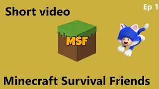 So I joined MSF (Minecraft survival friends)
