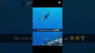 W RIZZ #memes #viral #fypシ