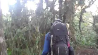 The descent to Mweka Gate