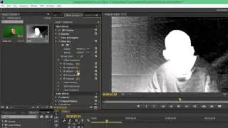 Using Ultra Key, Denoiser And Filling Audio Channels Adobe CC