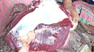 Amazing Show How To Cut The Beef Amazing Technique | Fast Cutting Skills And Big Cow Meat Processing