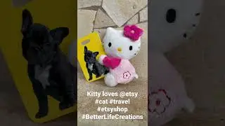 The cutest kitty 🐱 in the Etsy world BetterLifeCreations travel #accessories 🥰 #shorts #travel