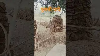 purani yaade #Shivam Pandey @Shivam Pandey_82