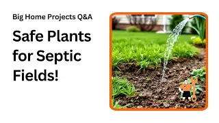 What Plants Are Safe Over a Septic Drain Field