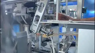 frozen cherry packing, doypack bag packing machine WA+8618114084211 mia@jlstechnology.cn