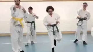 Karate f&uuml;r Alle Clip