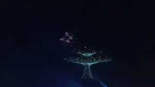 EXPO2025 大阪　関西万博【1000機のドローンショー】
