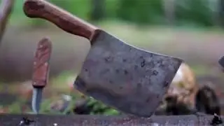🍄🌲Danskvand Productions p&aring; skovtur🌲🍄