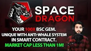 Space Dragon - Your 100X Bsc Gem / Unique With Anti-Whale System !!!