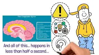 Why We Get Angry | The Brain&rsquo;s Ancient Survival System Explained