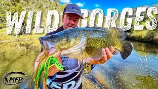Murray Cod Fishing in Wild Gorges of NSW