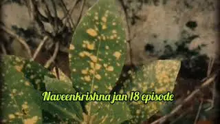 കൃഷ്ണയുടെ താലി പൊട്ടിക്കാൻ നോക്കിയ തങ്കത്തിനെ ഞെട്ടിച്ച കാഴ്ച്ച #krishnagadha serial #naveenkrishna
