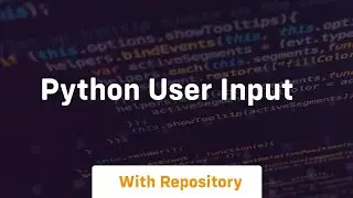 Python user input