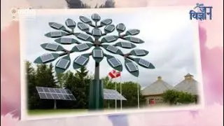 Solar Tree (H)