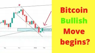 Bitcoin bullish move? | ethereum and BTC dominace next move